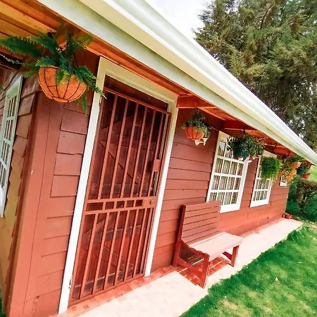 Cabana Emperador - The Place For Quetzals Lovers! Copey Exterior photo