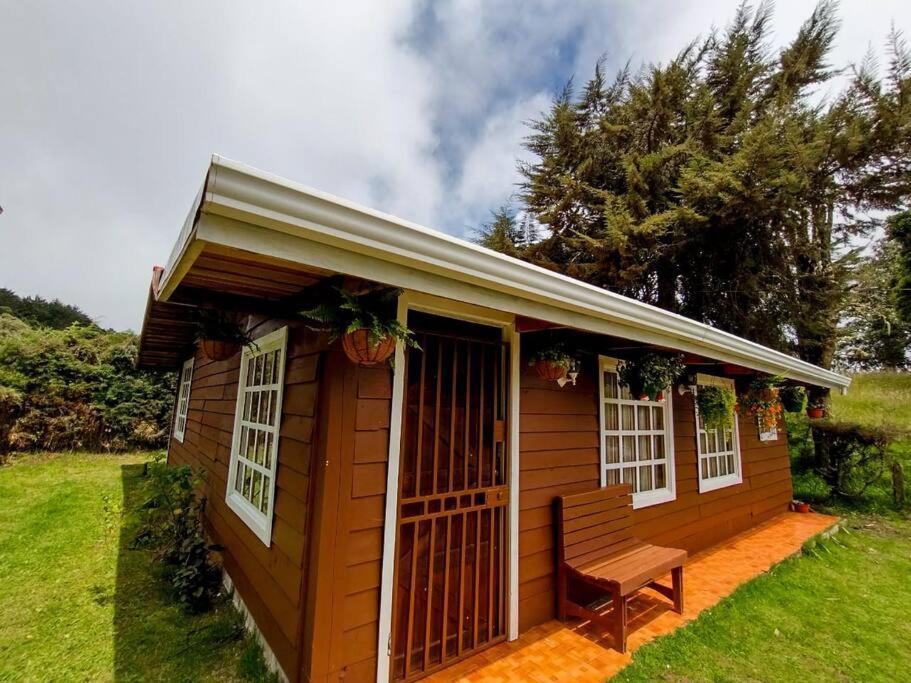 Emperador - The Place For Quetzals Lovers! Copey